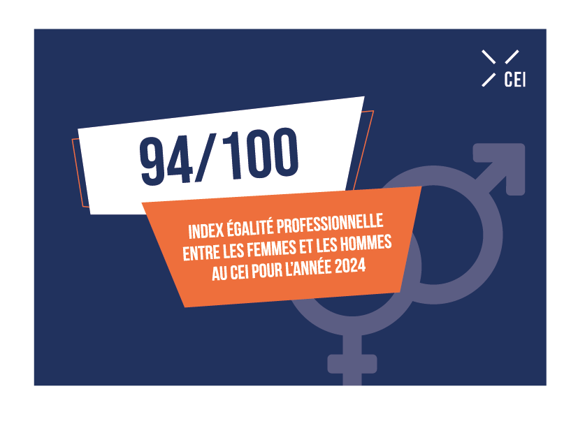 index égalité professionnelle index égalité professionnelle